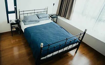 Effective treatment for bed bugs in Dover