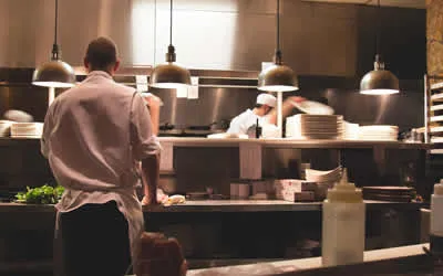 pest control contracts for restaurants takeaways schools and businesses in Dover