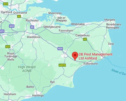 map showing DB Pest Management Ramsgate's location in Ramsgate