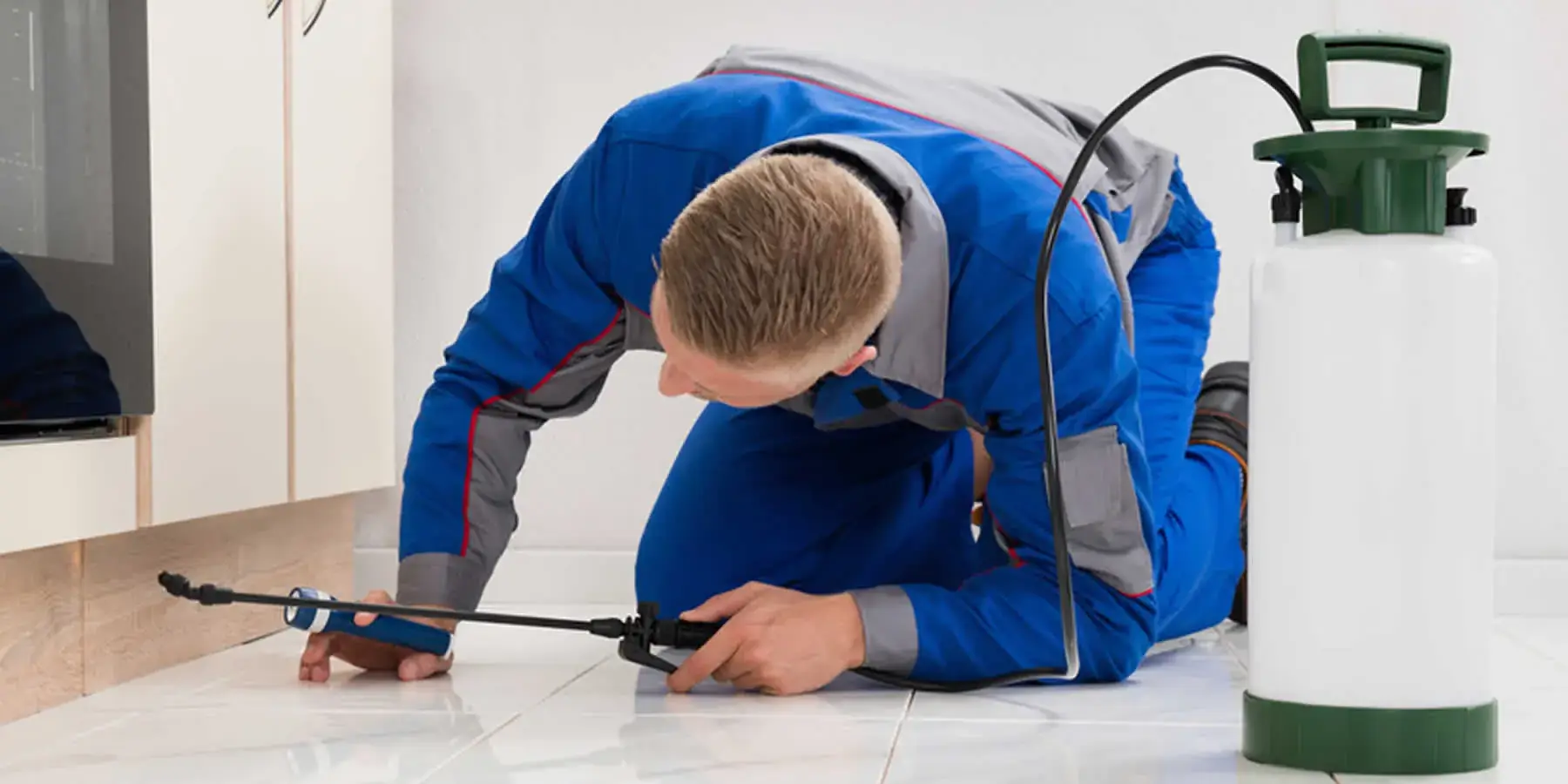 Treatment for Bed Bugs in Dover