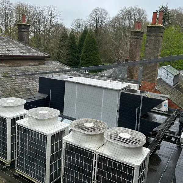 Pest proofing work on a commercial rooftop