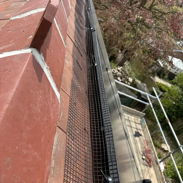 Bird proofing mesh fitted along a roof gutter